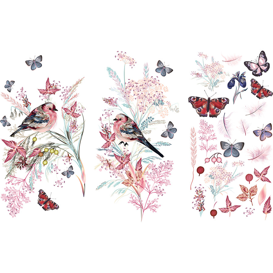 Oiseau Rose