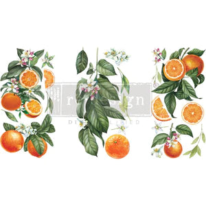 Citrus Slice Small Transfer