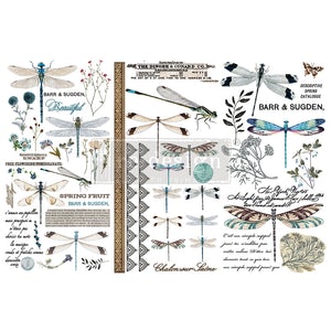 Spring Dragonfly Small