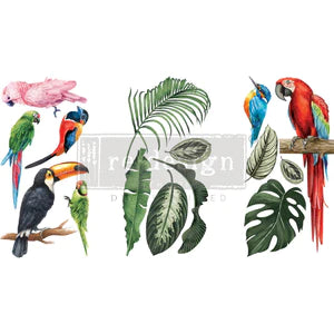 Tropical Birds Small Transfer