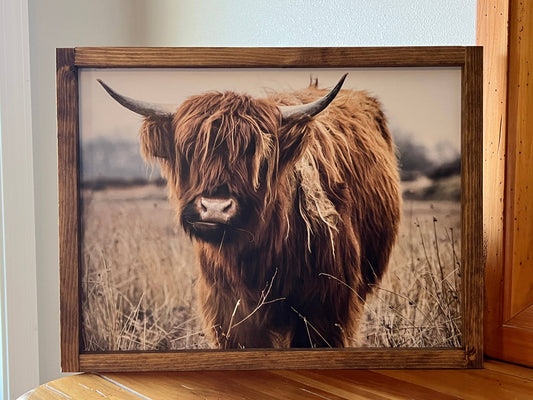 Highland Cow Color: 6x8 / Jacobean