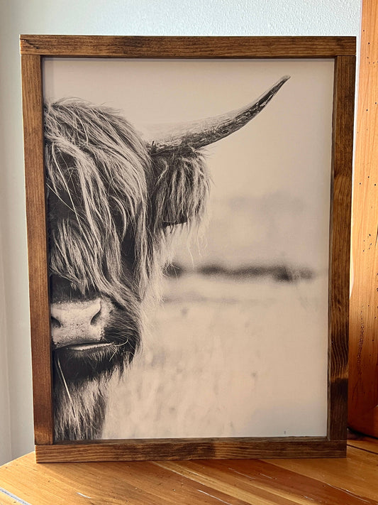 Highland Cow Side: 6x8 / Jacobean