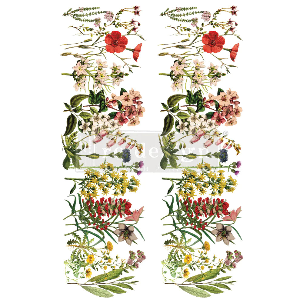 The Flower Fields Transfer