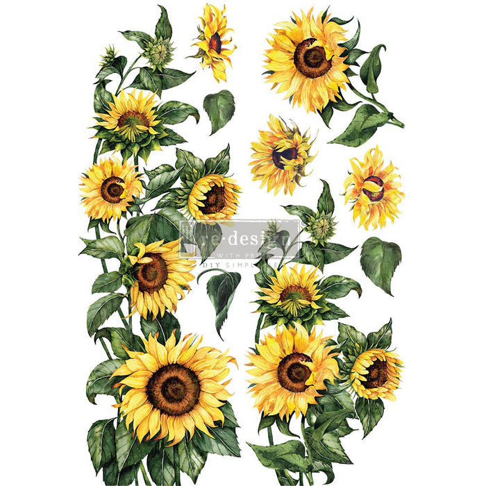 Sunflower Transfer